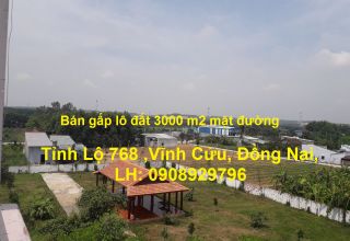 Bán gấp lô đất mặt đường Tỉnh Lộ 768 , Vĩnh Cửu, Đồng Nai,  LH 0908929796